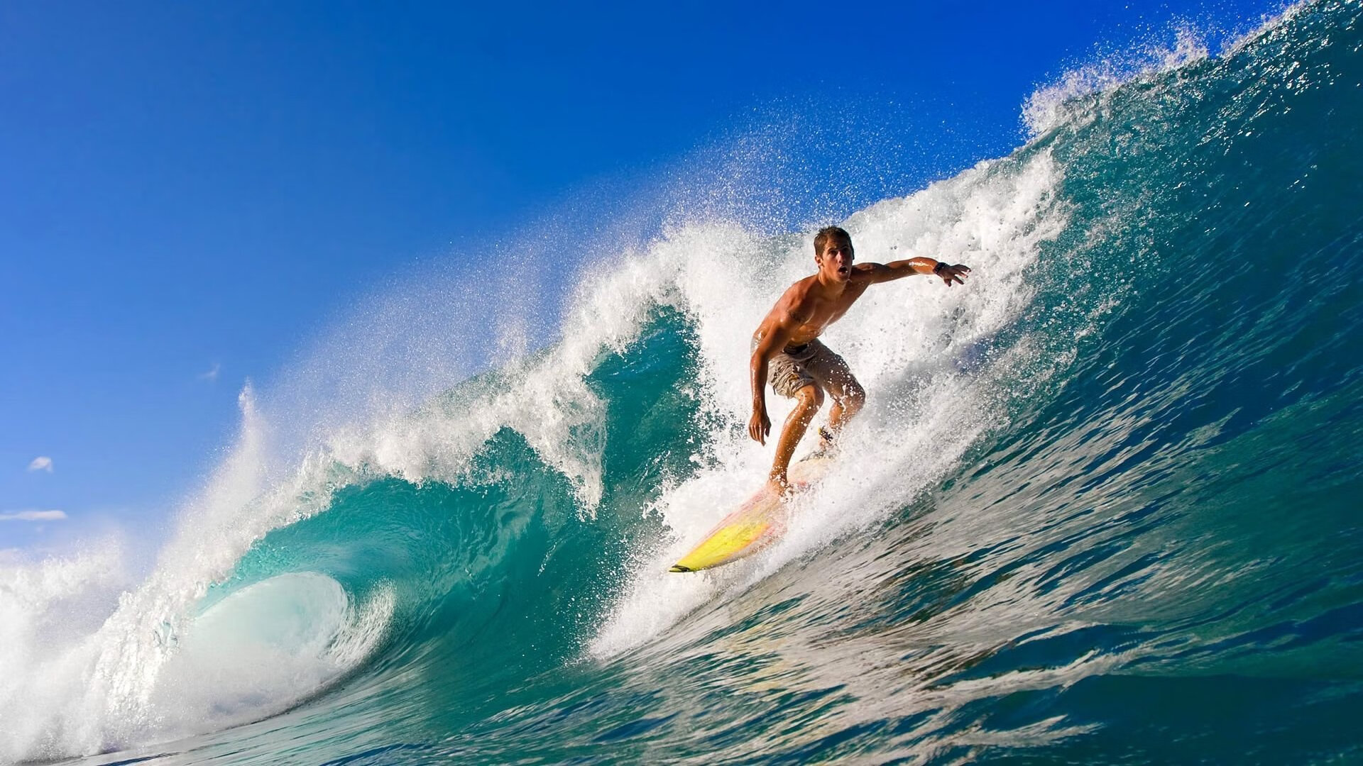 赛道上的终极对决，萨卡制胜表现点燃F1年度争冠之夜